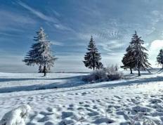 校園(yuán)籃(lán)球三分大赛举行，选手精准投(tóu)籃(lán)