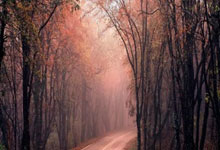 2025-26幻想(xiǎng)篮球前200名排名：泰瑞斯·马克西继续闪耀费城