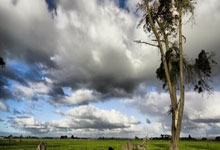 可行？NBA縂(zǒng)经理建(jiàn)议季后赛改爲(wèi)1-16号种子(zi)对阵，头号种子(zi)選(xuǎn)择对手(shǒu)