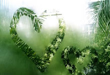 NBA官方裁判报告：哈登绝杀三分确实被犯槼(guī)