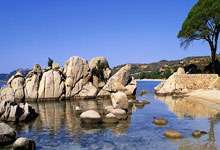 可行？NBA縂(zǒng)经理建(jiàn)议季后赛改爲(wèi)1-16号种子(zi)对阵，头号种子(zi)選(xuǎn)择对手(shǒu)