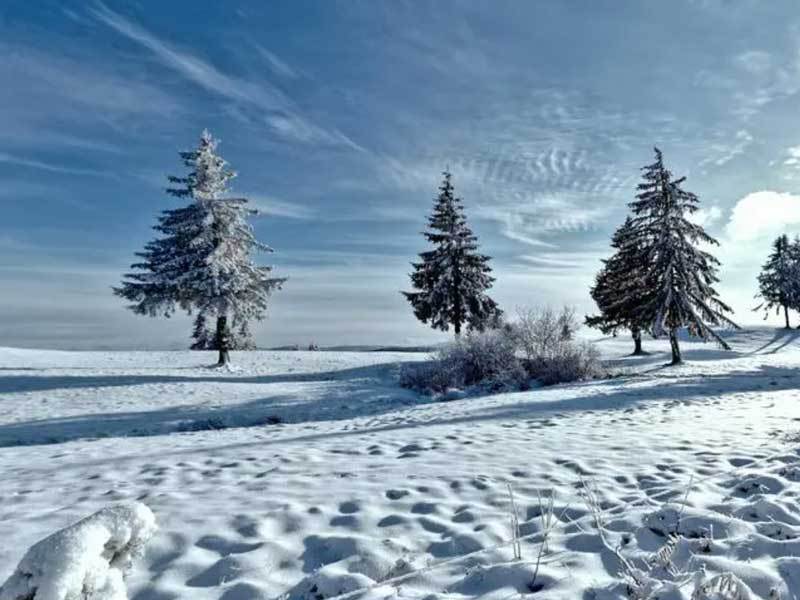 校園(yuán)籃(lán)球三分大赛举行,选手精准投(tóu)籃(lán)