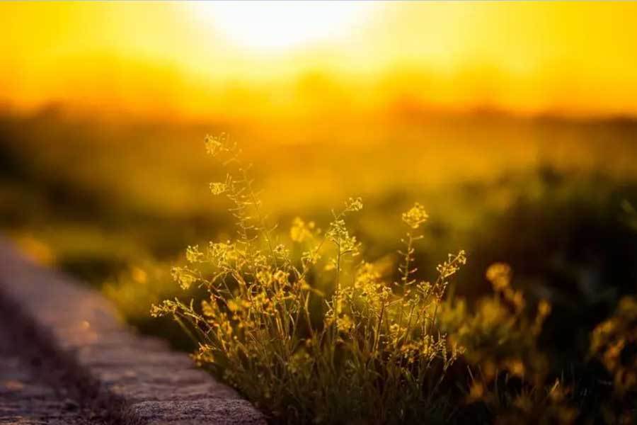 校園(yuán)籃(lán)球三分大赛举行,选手精准投(tóu)籃(lán)