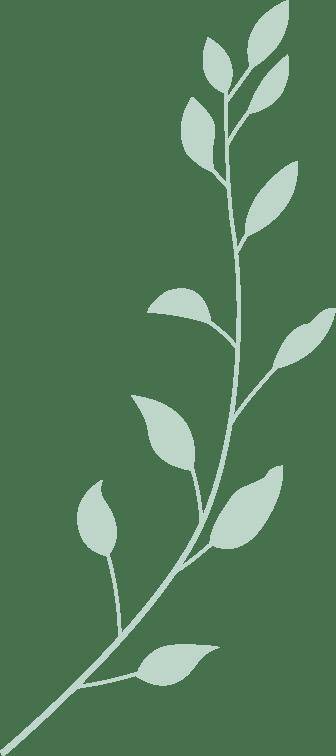 见面会精(jīng)彩(cǎi)集锦新鲜出炉!