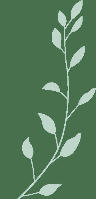 见面会精(jīng)彩(cǎi)集锦新鲜出炉!